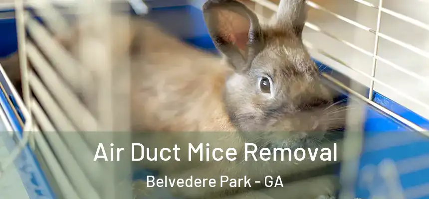  Air Duct Mice Removal Belvedere Park - GA
