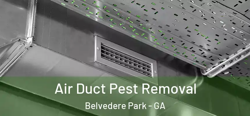  Air Duct Pest Removal Belvedere Park - GA