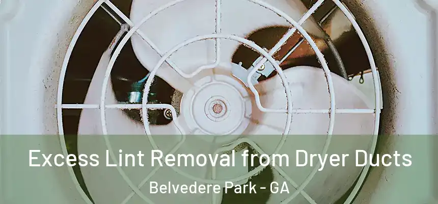  Excess Lint Removal from Dryer Ducts Belvedere Park - GA