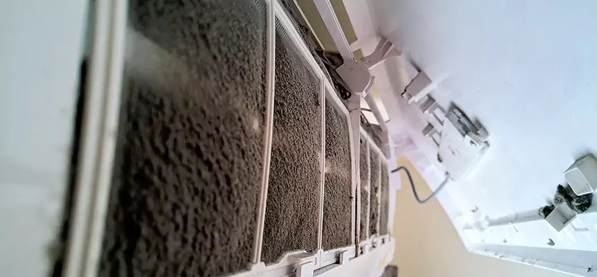 Preventive Air Duct Bacteria Removal in Belvedere Park