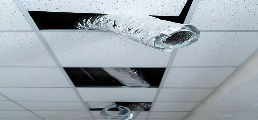 Affordable HVAC Sanitizing After Pest Removal in Belvedere Park