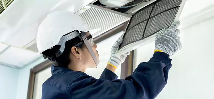 Our Mold & Mildew Removal from Air Ducts Services in Belvedere Park, GA