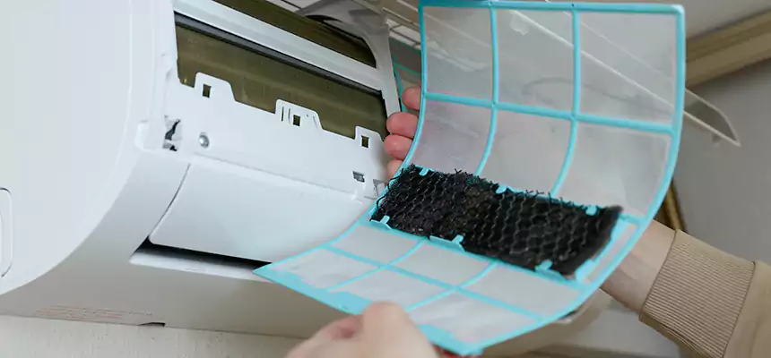 Gentle Ductwork Odor-Control Pet Dander Duct Cleaning in Belvedere Park, GA