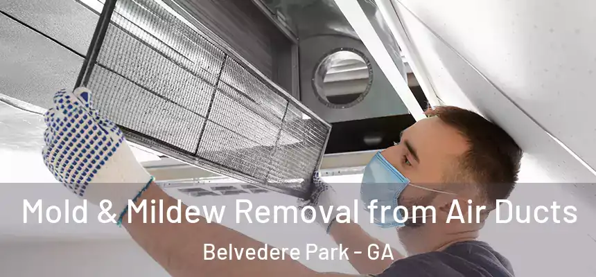  Mold & Mildew Removal from Air Ducts Belvedere Park - GA