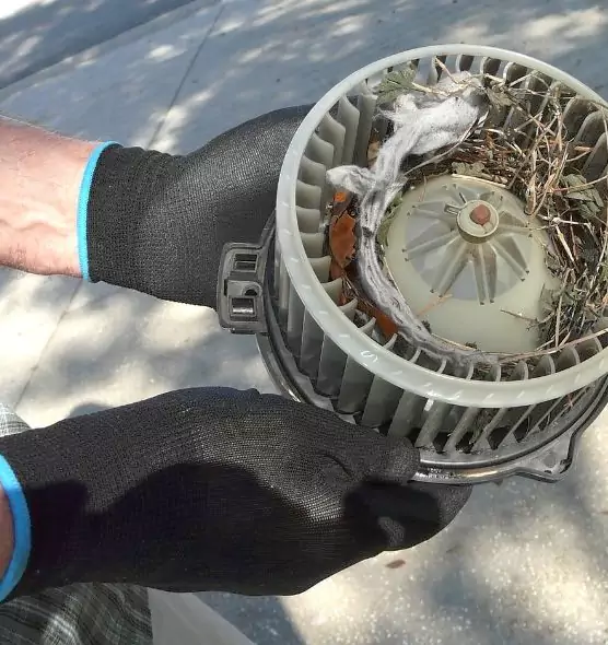 About Air Duct Rat Removal in Belvedere Park, GA