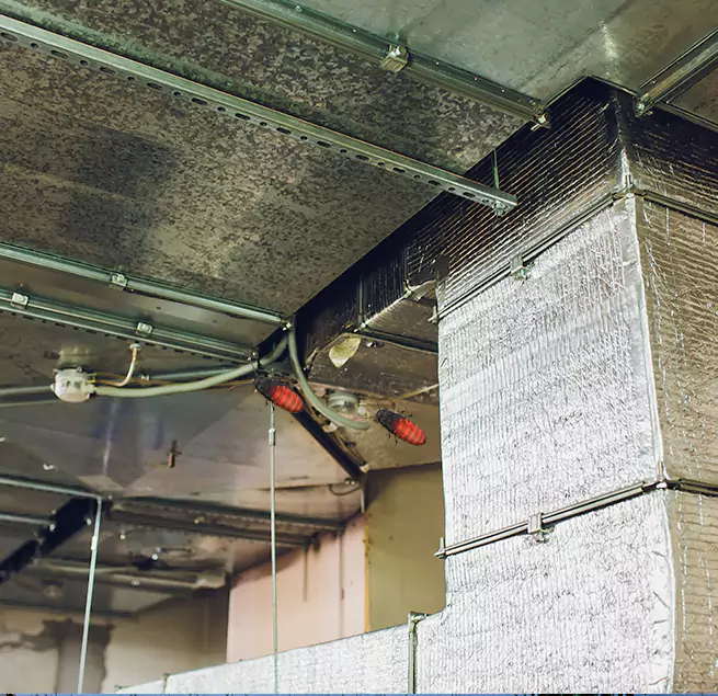 Why Homeowners & Businesses Trust Us in Belvedere Park, GA?