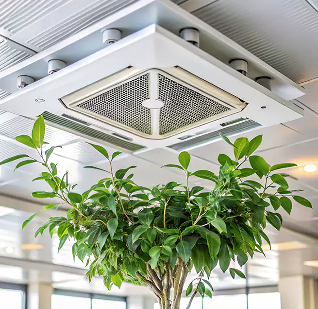 Why Homeowners & Businesses Trust Us in Belvedere Park, GA?